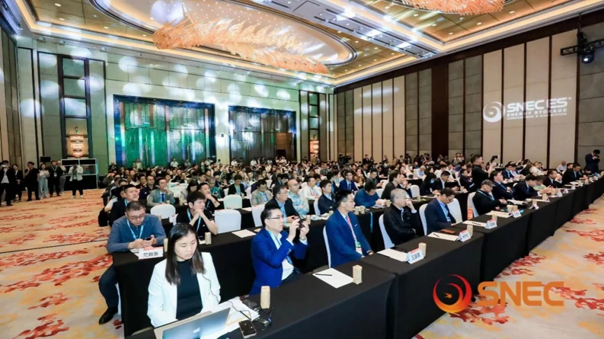 Sunwise joins the Leaders' Dialogue at the 6th SNEC Hydrogen Conference — original image